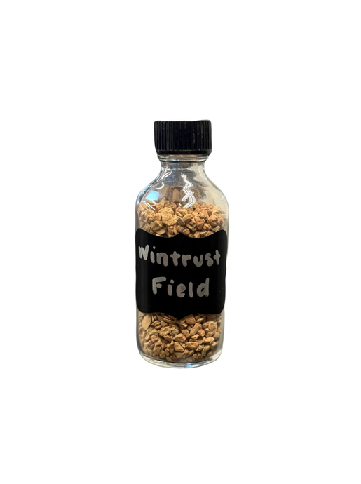 WINTRUST FIELD DIRT