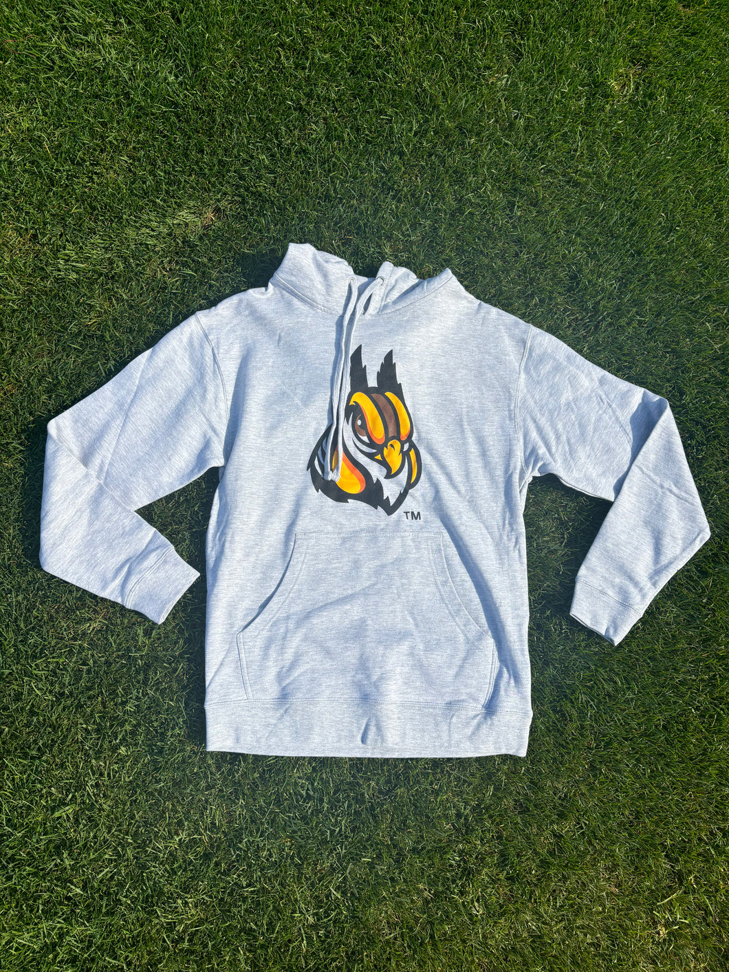 GRAY COOP HOODIE